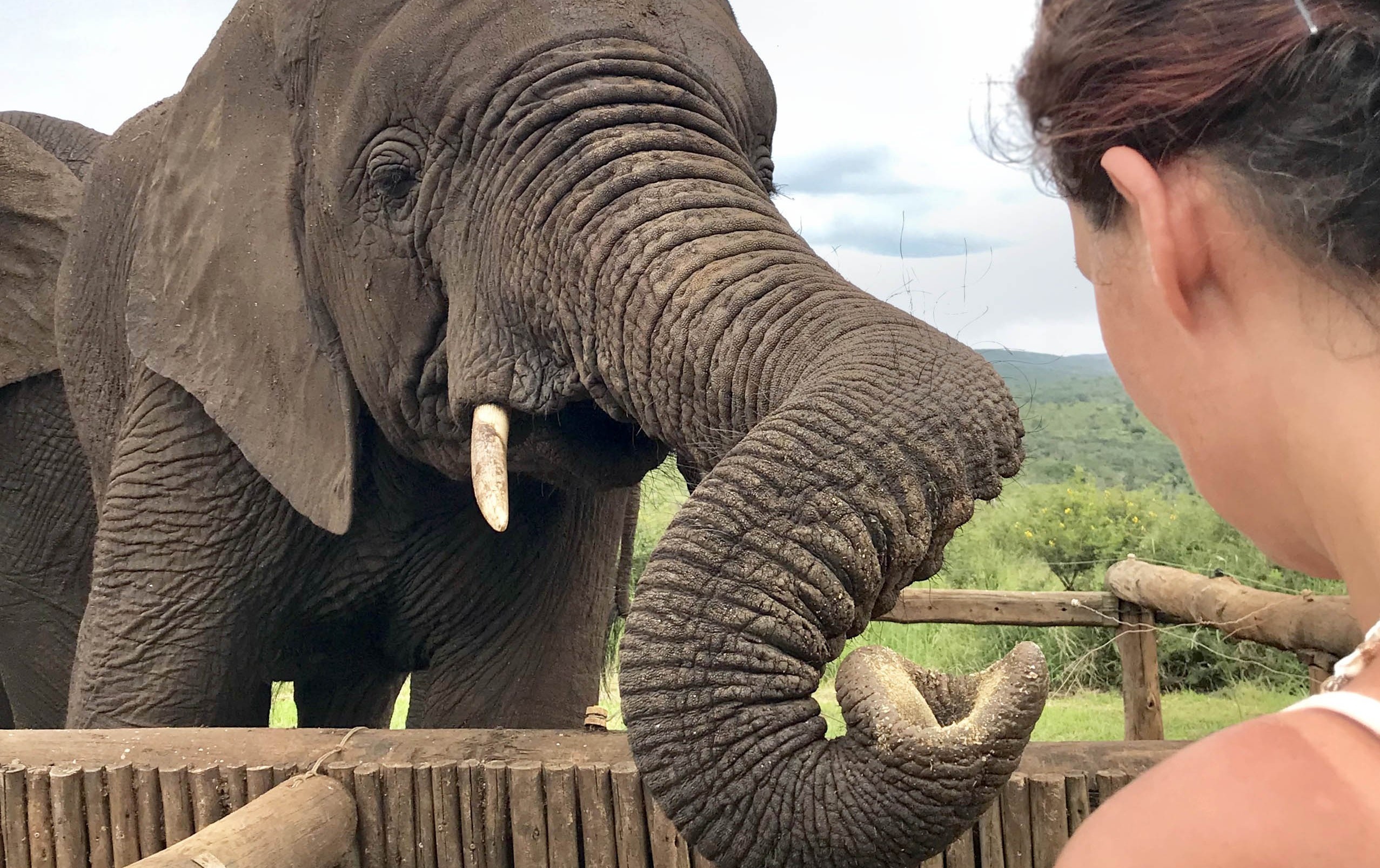 Glamping & Zulu Cultural Experience